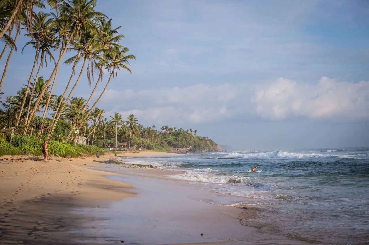 Cocoplant Surf Inn & Surf School