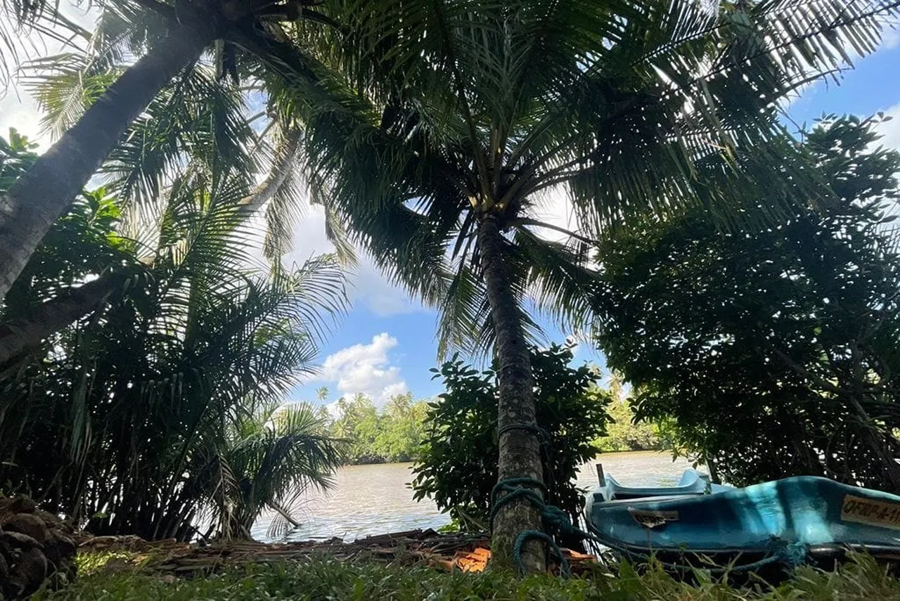 Kuma Surf Camp