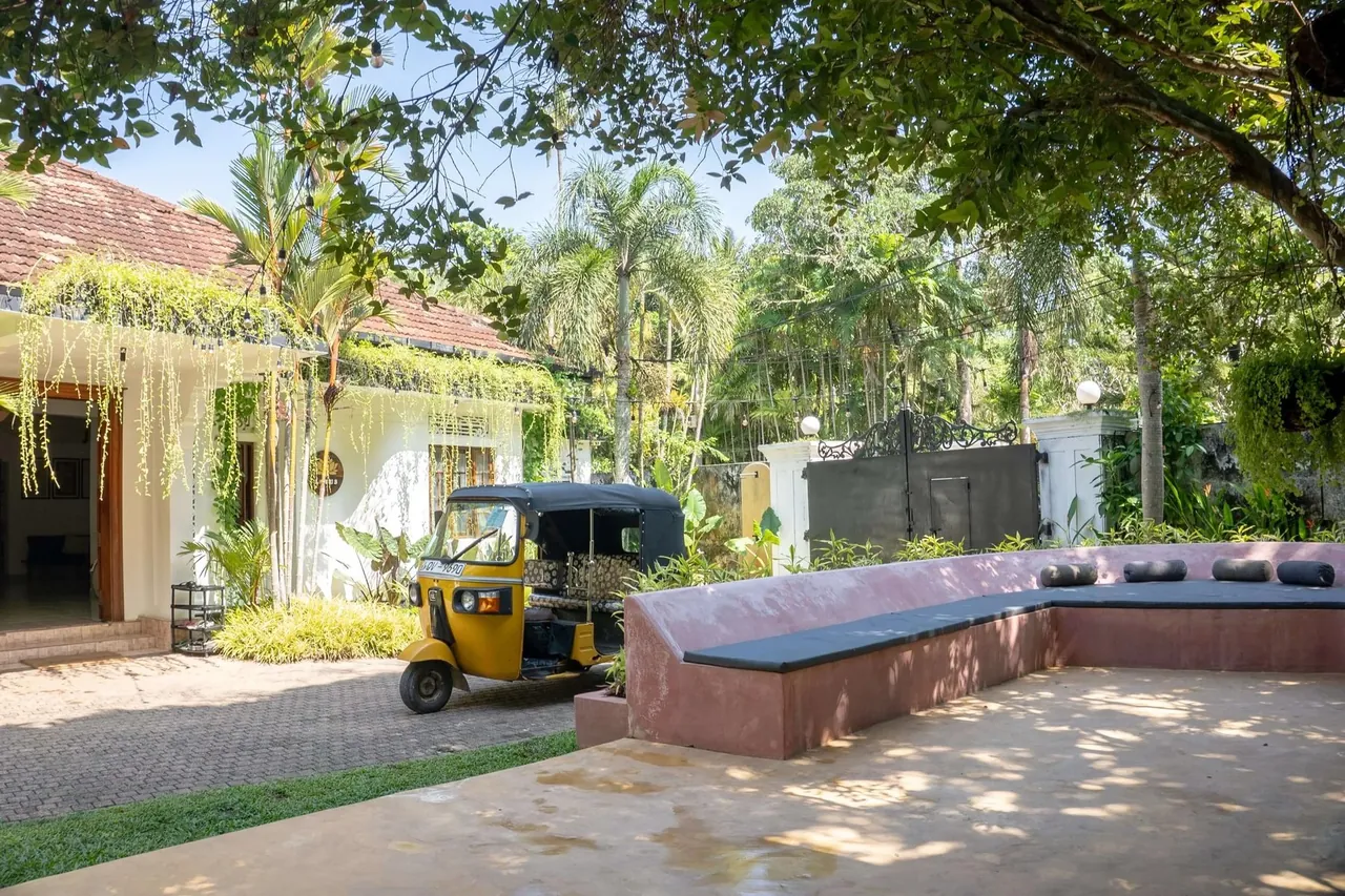 Lotus Surf & Wellness